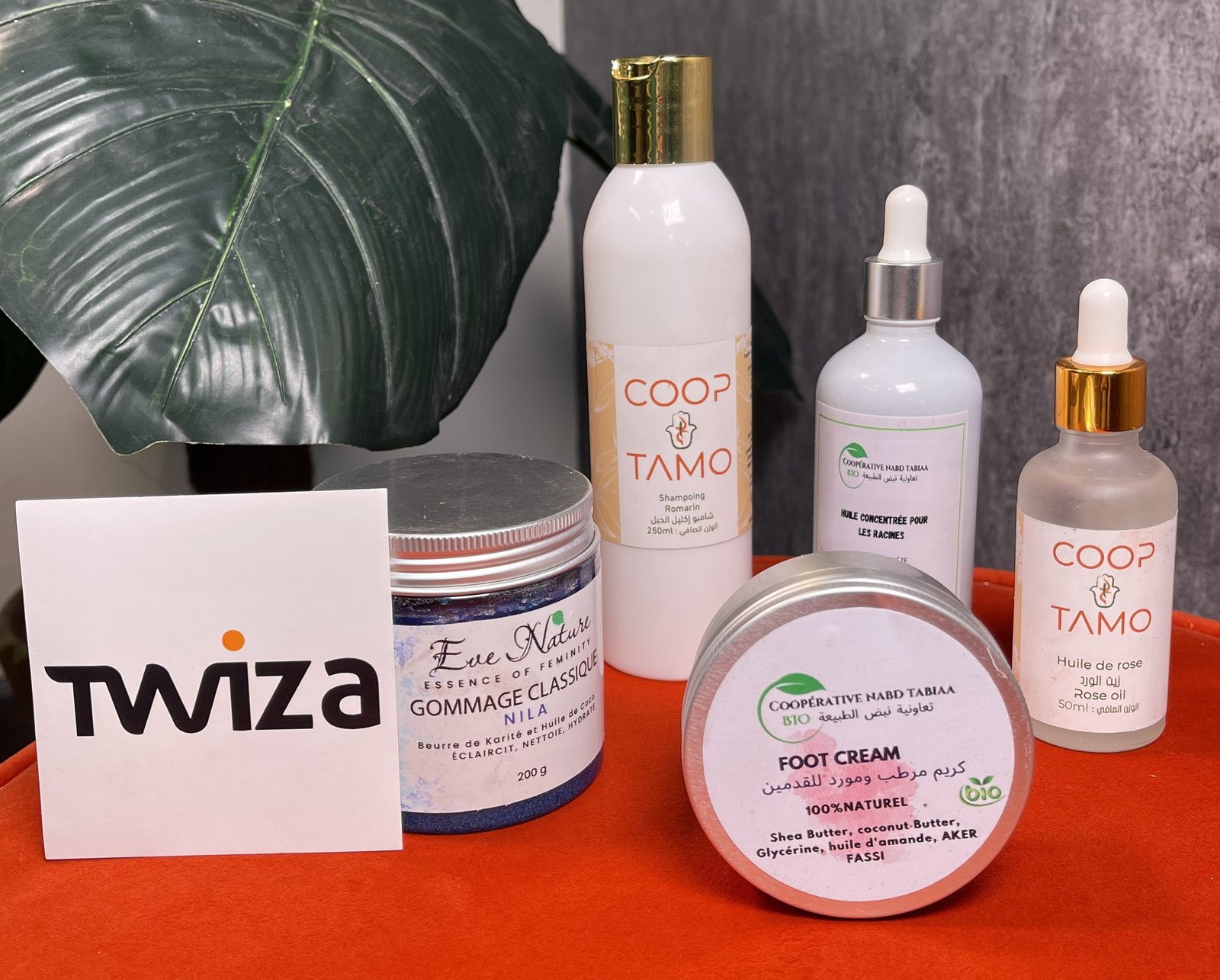 صورة الميزة